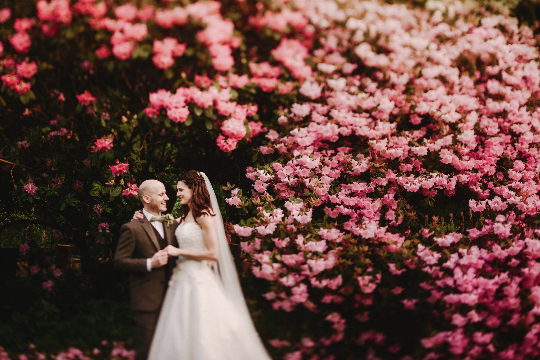 Lower Grenofen Wedding Photographe